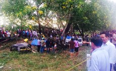 Pickup truck hits tree, nine students killed in Thailand