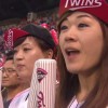 Female fans loving South Korean baseball