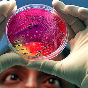 OUTBREAK: Salmonella poisoning symptoms, cures, remedies and natural treatment