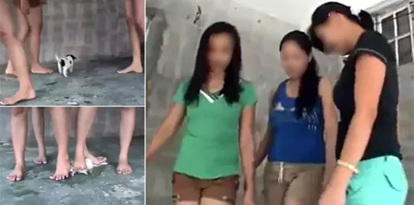 Philippines: 3 girls crush wailing puppy to death viral video
