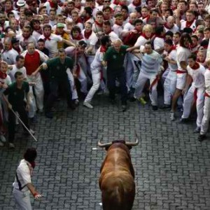 Spain Bull Run 2015, injures Australian
