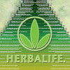 Herbalife Scam, the truth about Pyramid scheme