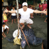 PHILIPPINES: Sea Turtle caught in Samar went viral
