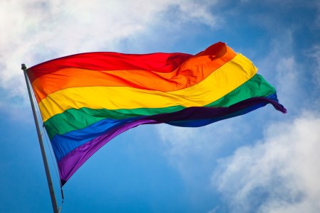 Australian same sex marriage, Government pressured